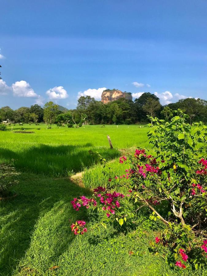 Castle View Sigiriya Hotel Exterior photo